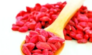 goji jpeg