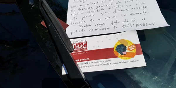 george mosoia asociatia dog assist cluj scrisoare