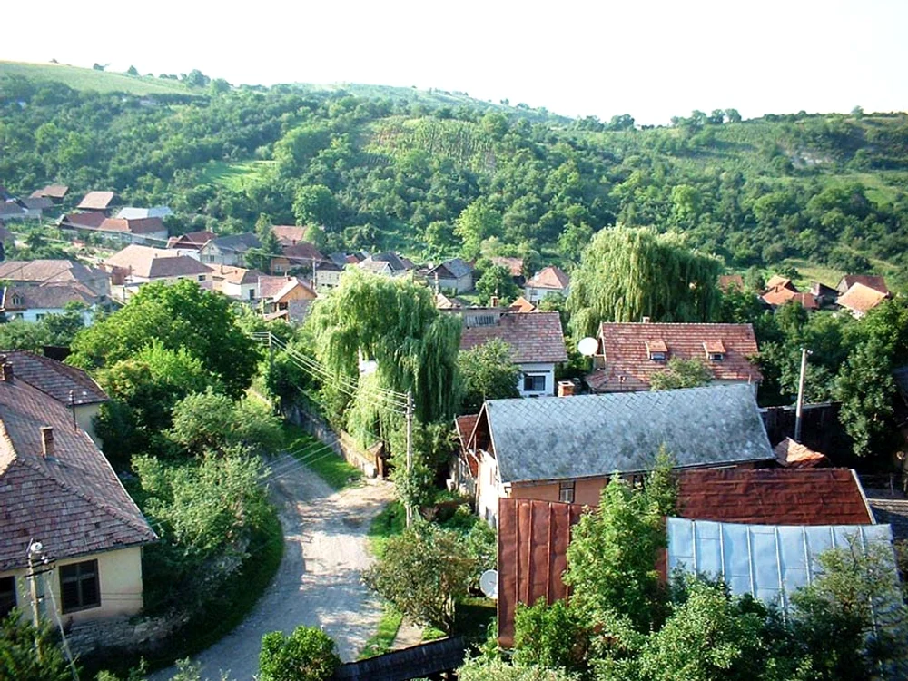 Dă i pace! – și alte vorbe „de terapie“ din Ardeal jpeg