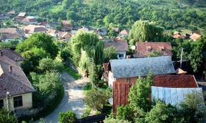 Dă i pace! – și alte vorbe „de terapie“ din Ardeal jpeg