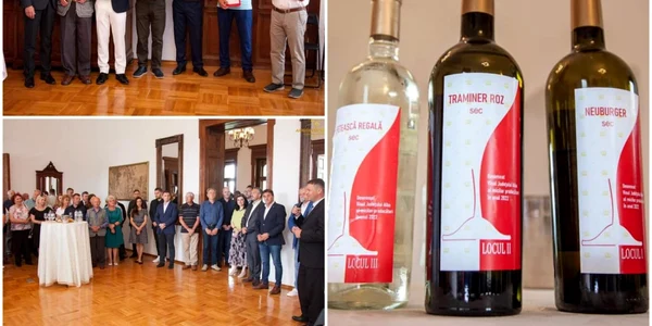 concurs vinuri alba
