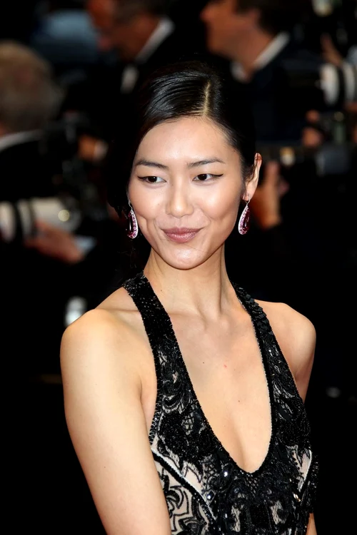 Liu Wen (Foto: Wenn)