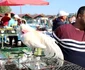 târgul veterani din Turnu Severin FOTO Alexandra Georgescu