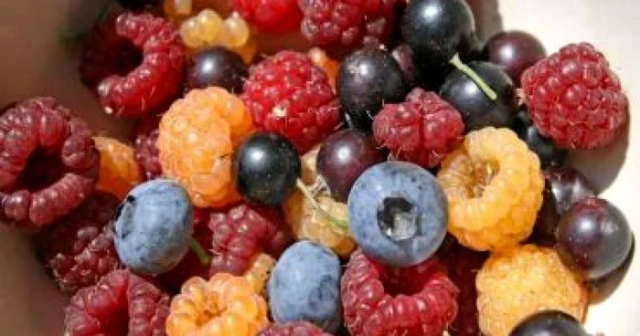 Suceava: Fructele de pădure din Suceava se vând cu greu