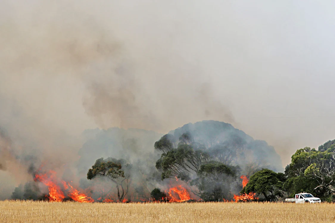 Incendiile continuă  să facă ravagii pe  continentul sinistrat