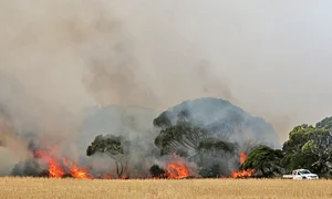 Incendiile continuă  să facă ravagii pe  continentul sinistrat jpeg
