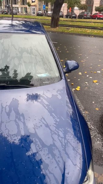 Orașul cu „handicap“ din România. Jumătate dintre mașinile parcate în centru au în parbriz legitimație de infirm VIDEO