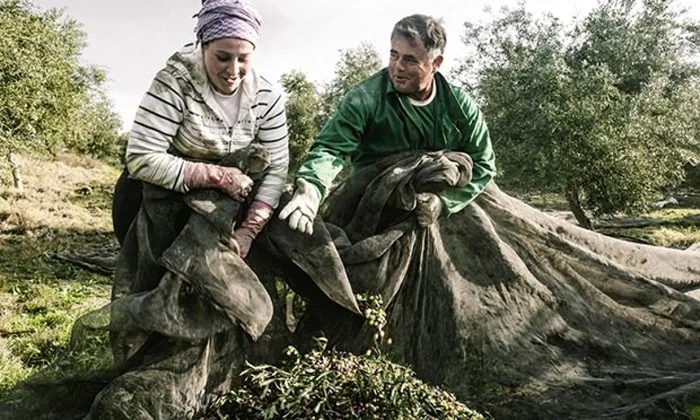 Toată lumea are slujbe în Marinaleda FOTO The Guardian