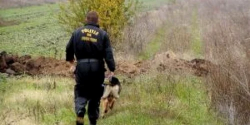 Cei cinci migranţi au încercat să treacă graniţa pe câmp