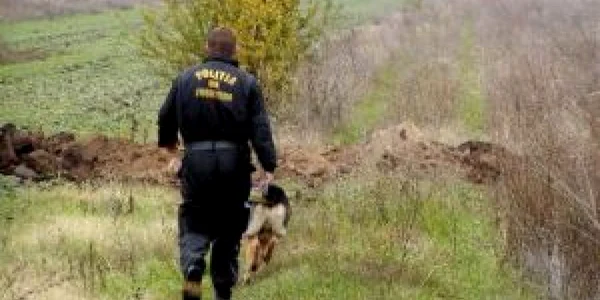 Cei cinci migranţi au încercat să treacă graniţa pe câmp