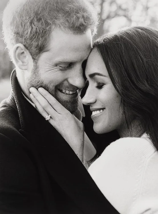 harry si meghan art safari jpg