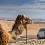 Dacia Duster hybrid G 150 4x4 179 jpg