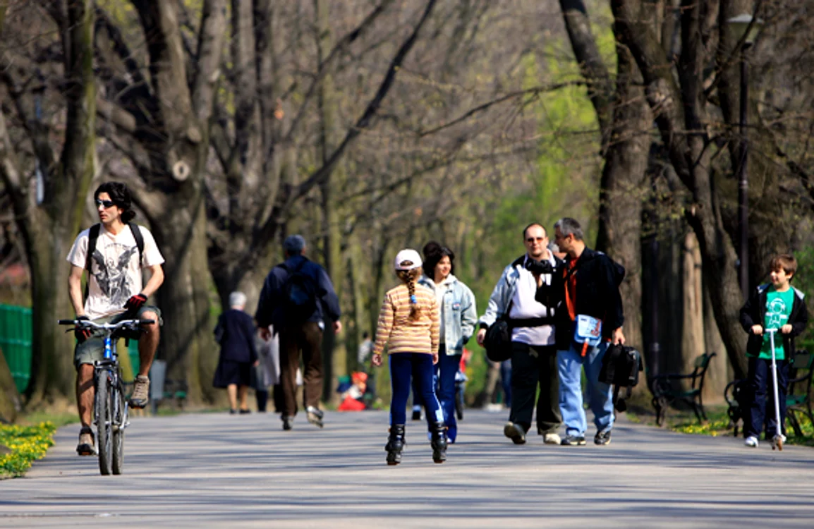 
    În următoarele două zile, temperaturile vor scădea ușor și precipitațiile își vor face simțită prezenta în aproape toate regiunile mai ales marțifoto: Click!  