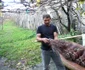 lemn bistrita 7