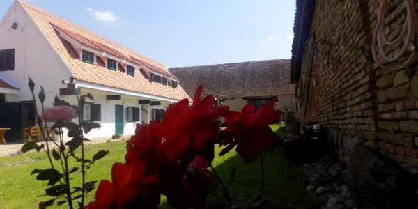 cloasterf haus