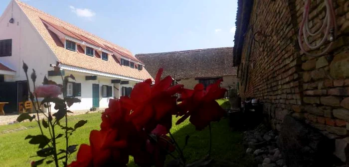 Pensiunea atrage foarte multi turisti romani si straini FOTO Ramona Găină