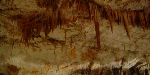 Gabriel Cazan Pestera Posadei