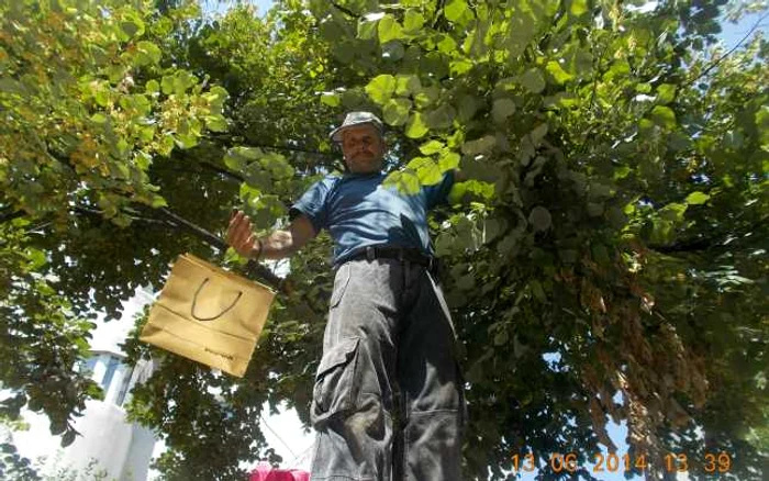 FOTO Poliţia Locală Brăila