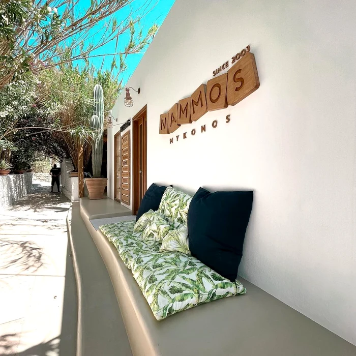 9 elena basescu vacanta mykonos distractie de 5 stele localuri de lux 3 jpg jpeg