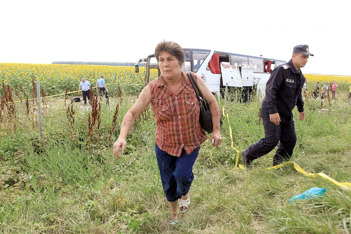 Femeia şi-a căutat disperată pe câmp geanta în care avea actele şi baniiFoto: Roberto Sălceanu