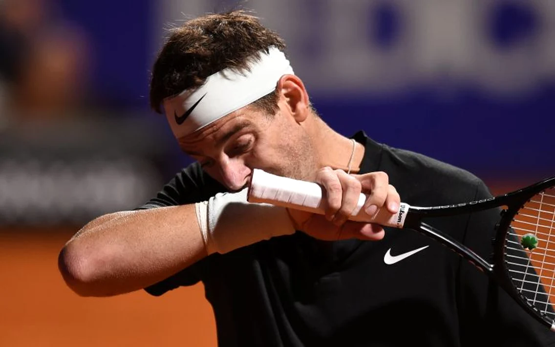 juan martin del potro jpg