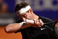 juan martin del potro jpg