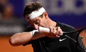 juan martin del potro jpg