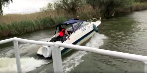 Cocalar aruncând cu paharul în ghizi din Delta Dunării Sursa Daniel Petrescu