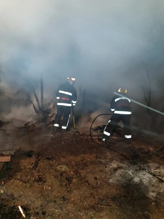 În incendiu au ars 21 de stupi