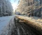 Poiana Răchițelii, Ținutul Pădurenilor Foto Daniel Guță ADEVĂRUL (39) jpg