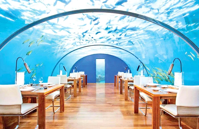 Maldive. Restaurantul subacvatic Ithaa: mâncarea este mai bună la 5 metri sub nivelul apei