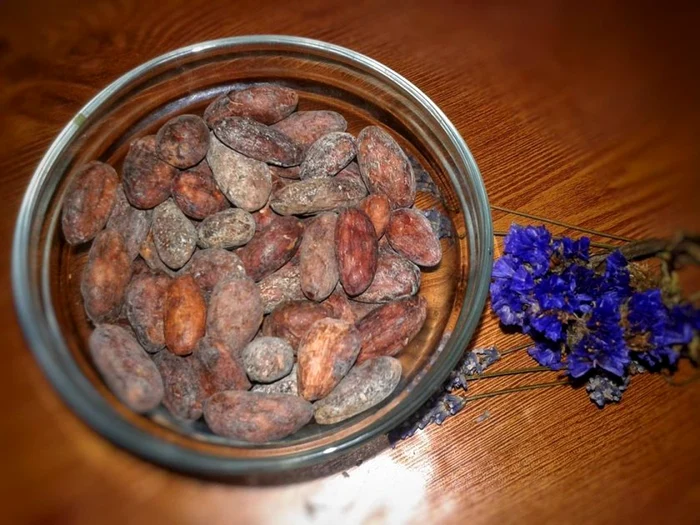 Boabele de cacao crude
