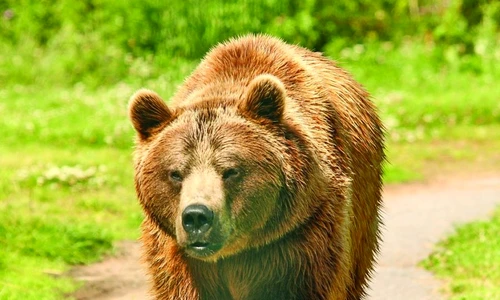 1 47524 original jpg jpeg