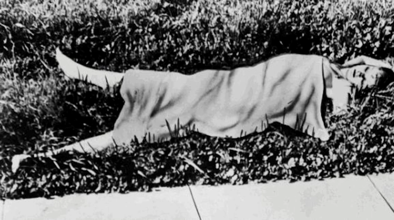 Trupul lui Elizabeth Short a fost tăiat în două