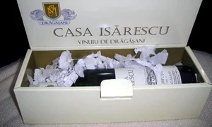 Casa Isărescu este marca guvernatorului BNR jpeg