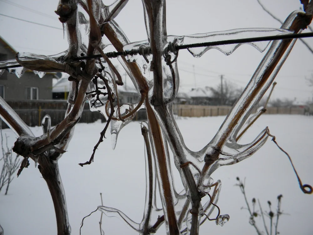 Gerul a dat peste cap transformatoarele electrice din judeţ. FOTO: ADEVĂRUL