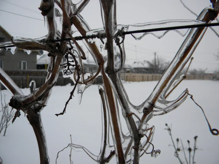 Gerul a dat peste cap transformatoarele electrice din judeţ. FOTO: ADEVĂRUL