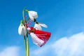 martisor jpg