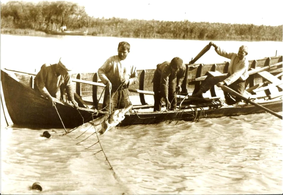 Pescuit la sturioni, la începutul anilor 90 FOTO Rezervaţia Biosferei Delta Dunării