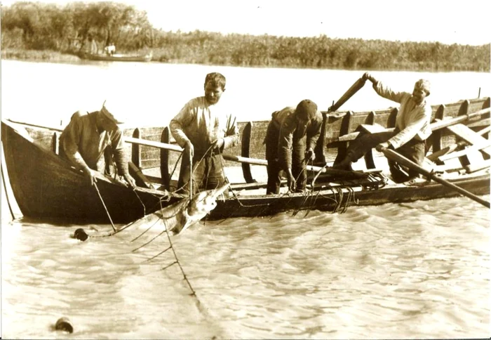 Pescuit la sturioni, la începutul anilor 90 FOTO Rezervaţia Biosferei Delta Dunării