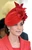 kate middleton hepta 2455252 jpeg
