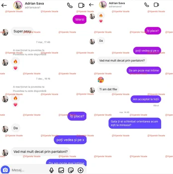 Ies la iveală detalii mai puțin cunoscute despre Adrian Sava - Foto: Viperele Vesele 