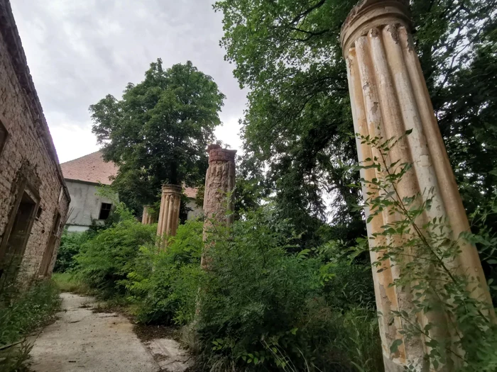 Castelul de la Banloc aşteaptă vremuri mai bune FOTO Ş.Both