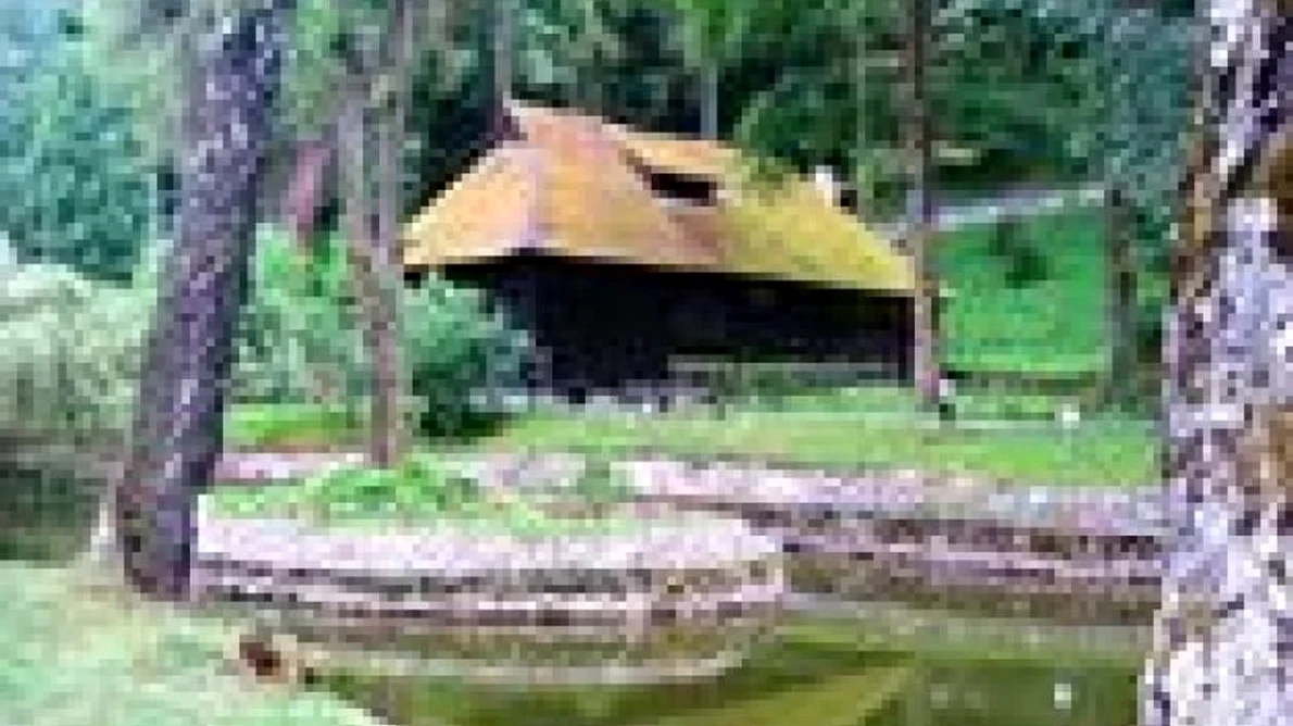 Casa de ceai a Reginei Maria va fi reabilitată jpeg