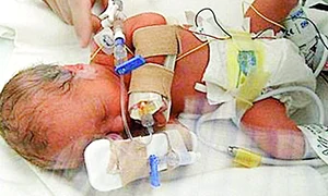 CLIIMA20100531 0166 1 jpeg