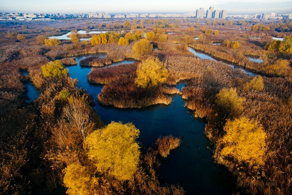 Ziua Curățeniei în Parcul Natural Văcărești jpeg