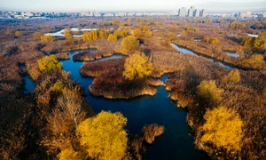 Ziua Curățeniei în Parcul Natural Văcărești jpeg