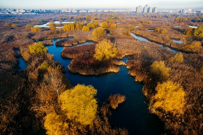 Ziua Curățeniei în Parcul Natural Văcărești jpeg