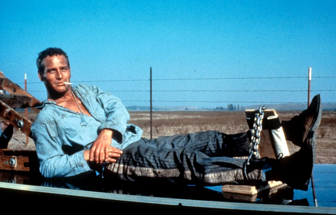 paul newman 162999813 jpeg