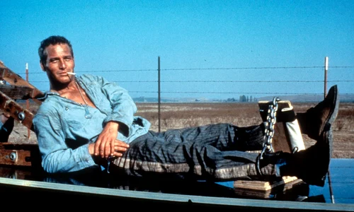 paul newman 162999813 jpeg